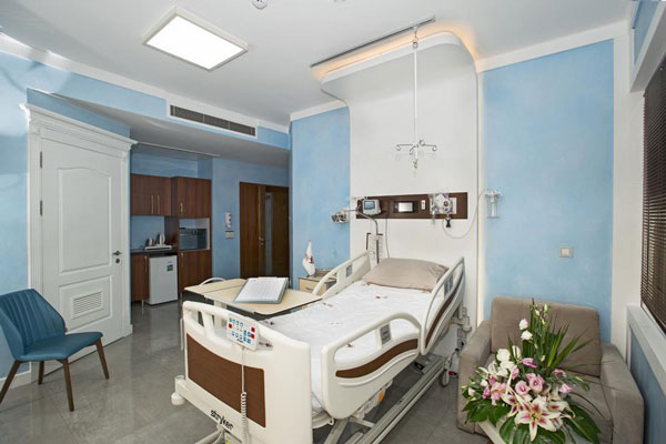 VIP Patient Room at Nikan Hospital